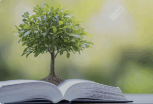 Tree on Book